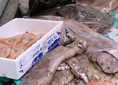 Primer plano de varios productos, peces, calamares y gambas