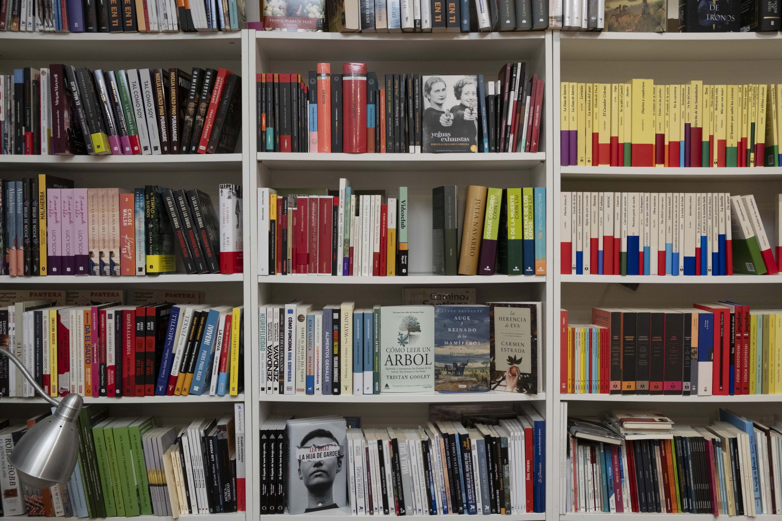 Comercios_Gijon_angular_34-min